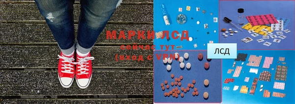 прущие грибы Алексин