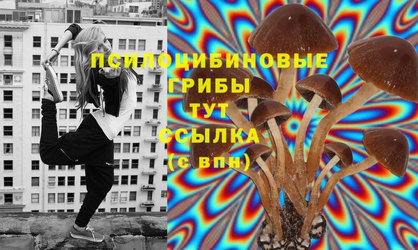 скорость Алзамай